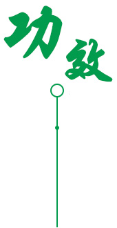 一次处理，整巢灭杀，不只杀表面白蚁，连蚁后、蚁巢一并根除